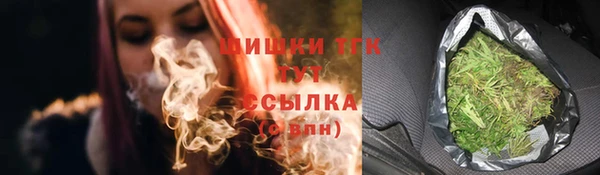 тгк Абаза