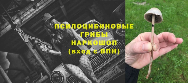 apvp Алексин