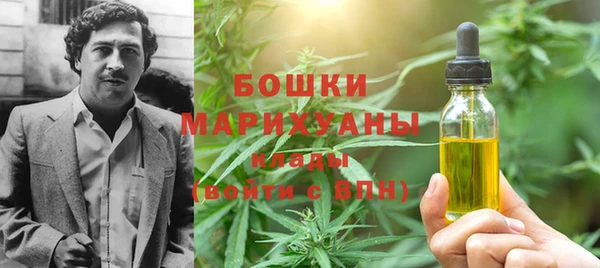 apvp Алексин